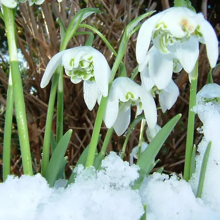 Vakantiehuis Cozy Retreat Near Historic