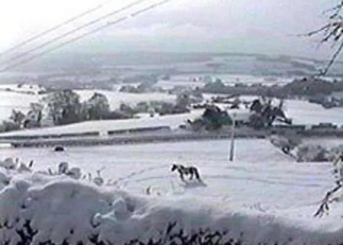 Cozy Retreat Near Historic *