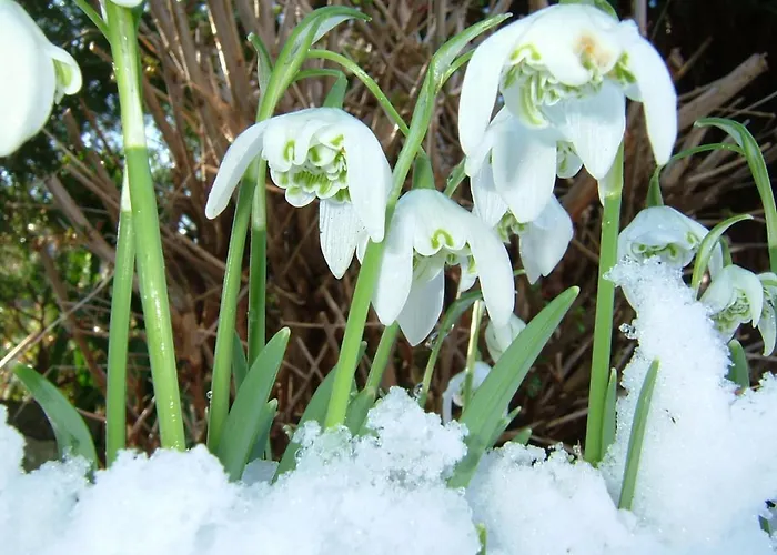 Vakantiehuis Cozy Retreat Near Historic